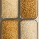 Four varieties of rice neatly arranged in transparent containers.