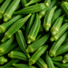 Close-up of green ladies' finger vegetable – okra for export